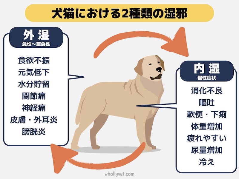 外湿と内湿の症状