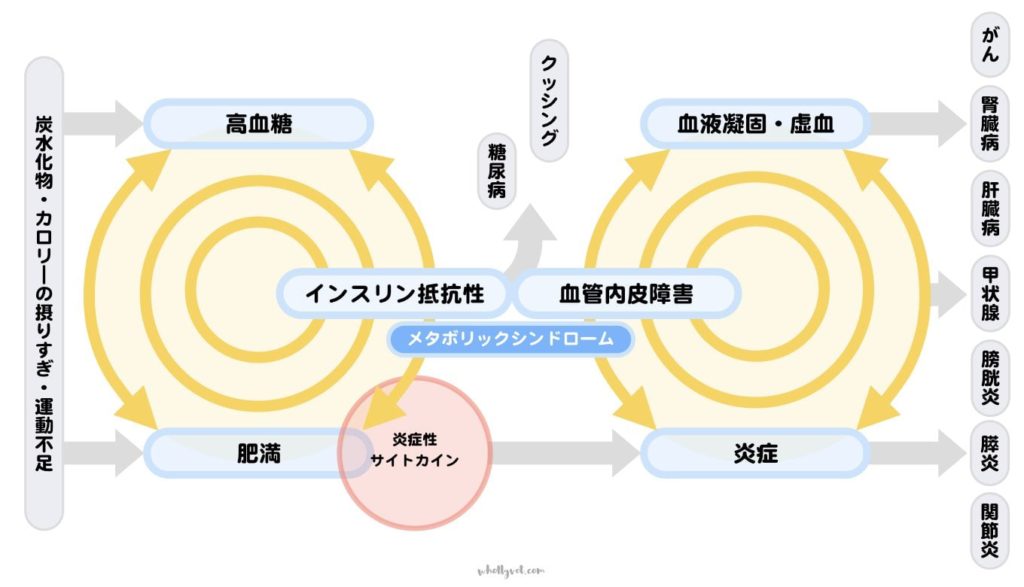 高血糖、インスリン抵抗性、炎症のスパイラル