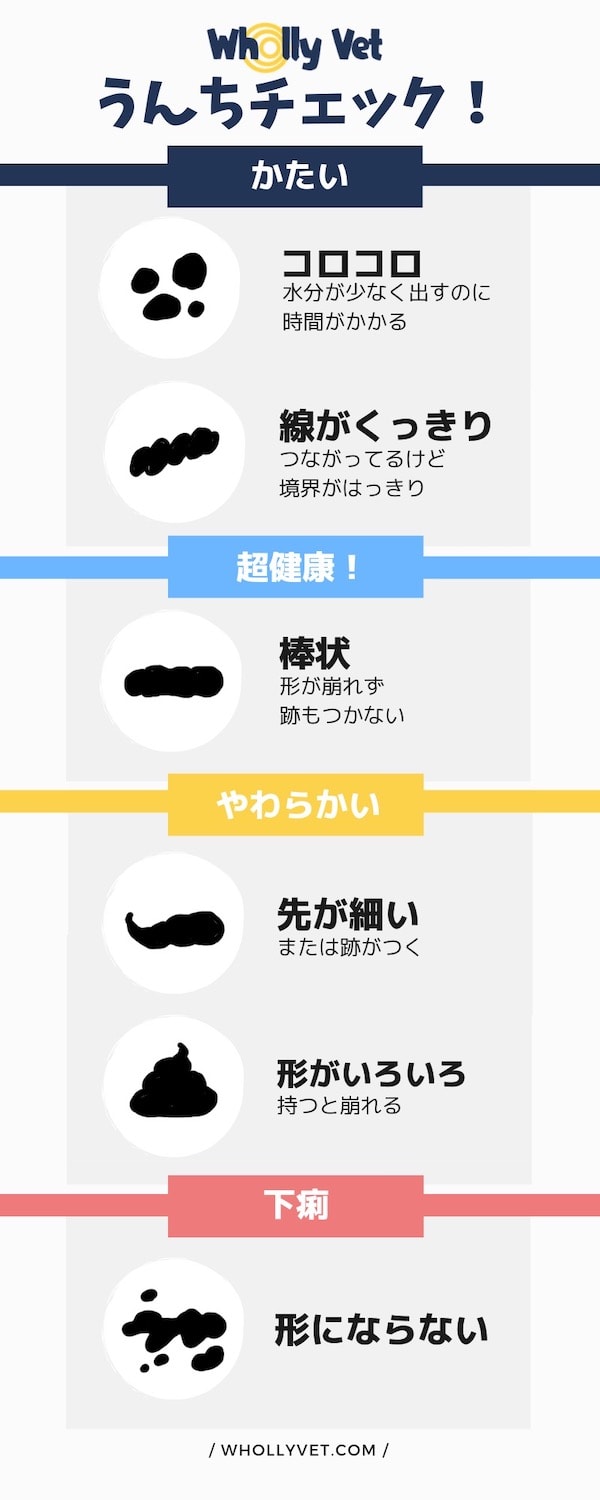 うちの犬猫のウンチは大丈夫?ウンチの健康度チェッカー