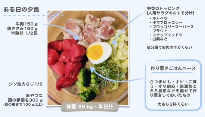 File 2 Gレトリバー 2歳 うりくん マラセチア外耳炎 Wholly Vet