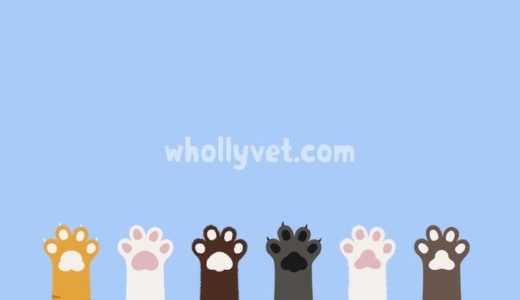 犬と猫の栄養自動計算機 Wholly Vet 犬と猫の栄養自動計算機 Wholly Vet