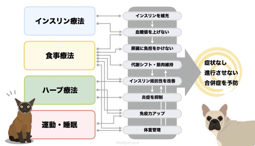 nic塩勃起不全